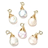 Wire Wrapped Pearl Teardrop Pendant Decorations KK-H445-05G-1