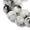 Natural Rainbow Moonstone Beads Strands G-Q1001-A05-03-01-5