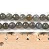 Natural Labradorite Beads Strands LS-G-U017-6mm-01-5