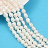 Natural Cultured Freshwater Pearl Beads Strands PEAR-P064-20C-01A-1
