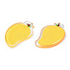 Translucent Acrylic Pendants TACR-N013-013-3