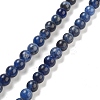 Sodalite Round Bead Strands G-P070-46-6mm-1