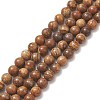 Natural Picture Jasper Round Bead Strands G-G-P070-55-8mm-3