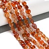 Natural Carnelian Beads Strands X-G-P497-01C-35-2