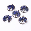 Natural Lapis Lazuli Pendants G-E419-01R-2