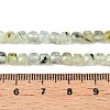 Natural Prehnite Beads Strands G-N342-124-5