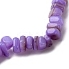 Dyed Natural Freshwater Shell Beaded Stretch Bracelets for Men Women BJEW-JB12478-03-3