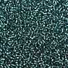 MIYUKI Delica Beads SEED-X0054-DB0607-3