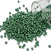 TOHO 8/0 Round Beads SEED-XTR08-0130D-1