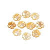 Natural Yellow Shell Carved Beads SHEL-Q028-04-1