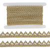 5Yards Polyester Lace Trim Ribbons OCOR-GF00005-12B-6
