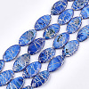 Freshwater Shell Beads Strands X-SHEL-S276-14-1
