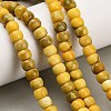 Dyed Natural White Jade Beads Strands GG-CBAA20A-01A-04-1