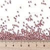 TOHO 11/0 Round Beads X-SEED-TR11-PF0553-4