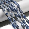 Natural Blue Spot Beads Strands G-A223-A06-01-2
