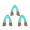 Resin & Wood Pendants LS-WOOD-F015-16D-1