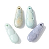 Natural Rainbow Alashan Agate Charms G-G194-05-1