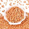 Picasso Glass Seed Beads SEED-N012-10B-2