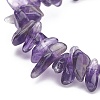 Natural Amethyst Chips Beaded Jewelry Set X-SJEW-JS01232-03-7