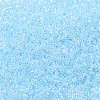 MIYUKI Delica Beads SEED-JP0008-DB0239-4