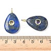 Dyed Natural Lapis Lazuli Pendants G-H318-04G-04-3