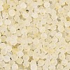Frosted Glass Seed Beads SEED-N012-01F-3