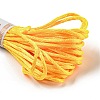 Polyester Embroidery Floss OCOR-C005-B06-2