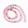 Natural Shell Beads Strands X-SSHEL-E571-49A-1