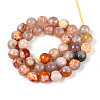 Dyed & Heated Natural Fire Crackle Agate Beads Strands G-N359-01B-10-3