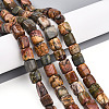 Natural Polychrome Jasper/Picasso Stone/Picasso Jasper Beads Strands G-T140-60A-1