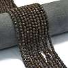 Natural Red Snowflake Obsidian Beads Strands G-A260-A14-01-1