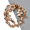 Natural Picture Jasper Nuggets Beads Strands G-B125-A10-01-2