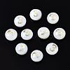 Natural Freshwater Shell Beads SHEL-N003-20-03-1