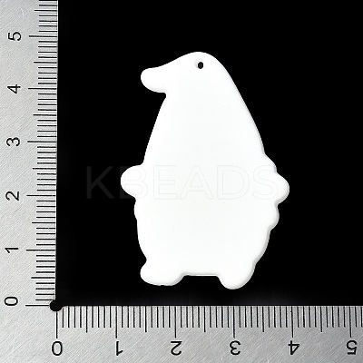 Printed Acrylic Pendants OACR-V004-02A-1