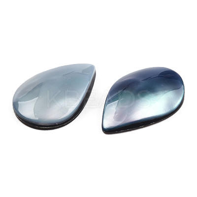 Natural Turbo Cornulus/Top Shells Cabochons SSHEL-N003-157A-1