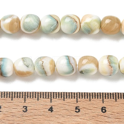 Natural Seashell Shell Beads Strands SH-CBAFEDD-01A-1