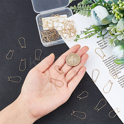 60Pcs 2 Style Surgical Stainless Steel Hoop Earrings Findings STAS-CN0001-03-1