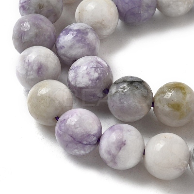 Natural Purple Turquoise Beads Strands G-L595-C04-01-1