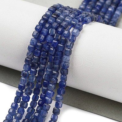 Natural Sodalite Beads Strands G-H042-B08-01-1