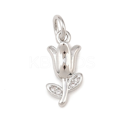 Brass Micro Pave Clear Cubic Zirconia Charms KK-G544-06P-01-1