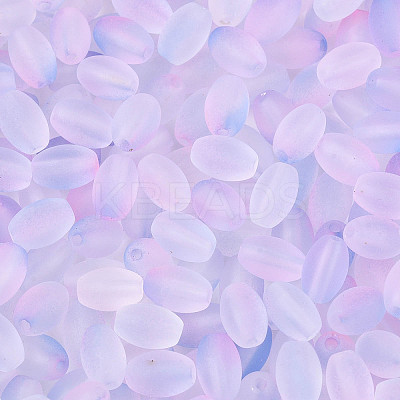 Frosted Glass Seed Beads SEED-N008-05G-1
