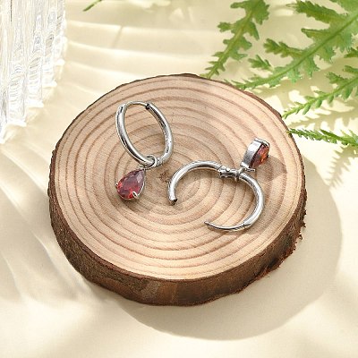 304 Stainless Steel Micro Pave Cubic Zirconia Hoop Earrings STAS-R004-05P-01-1