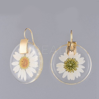 Alloy Resin Dangle Earrings EJEW-JE03560-1