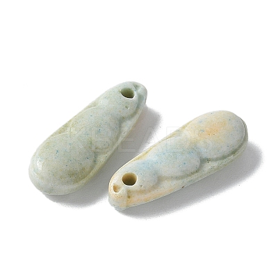 Natural Rainbow Alashan Agate Charms G-G194-05B-1