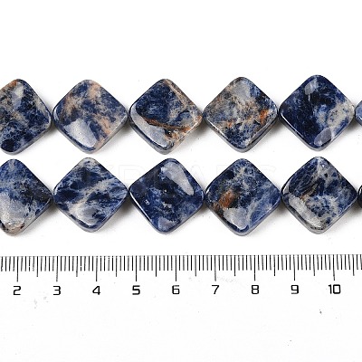 Natural Blue Spot Jasper Beads Strands G-L239-17-1