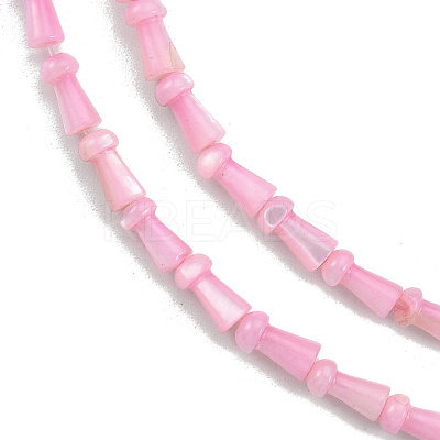 Natural Freshwater Shell Beads Strands SHEL-G013-02-1
