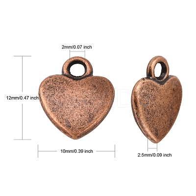 Tibetan Style Alloy Charms RLF1170Y-1
