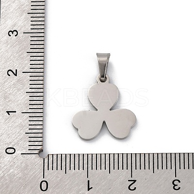304 Stainless Steel Charms STAS-Z114-03P-04-1