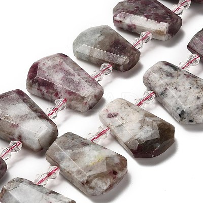 Natural Plum Blossom Tourmaline Beads Strands G-H078-A01-02-1