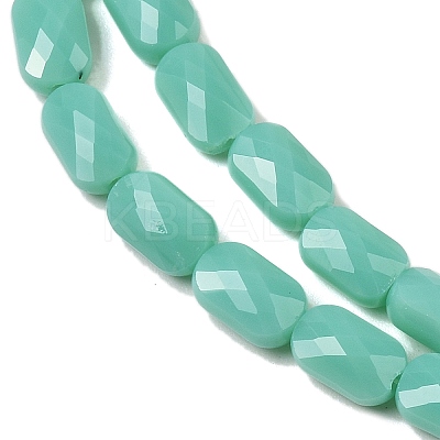 Opaque Glass Beads Strands GLAA-Z018-D21-1